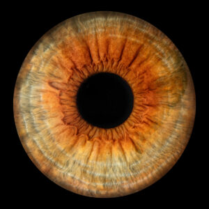 Les bidons de Lyon - Photo Iris œil