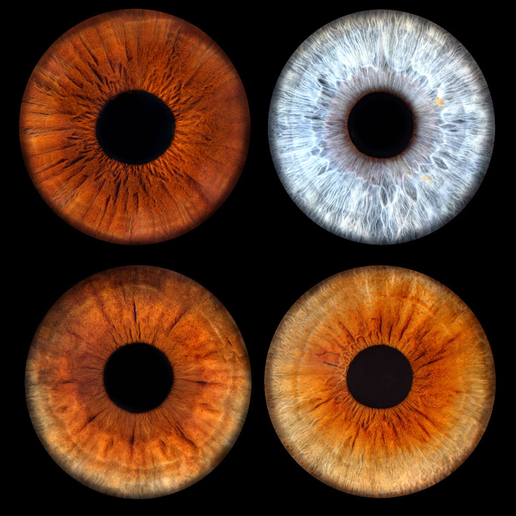 Les bidons de Lyon - Photo Iris œil